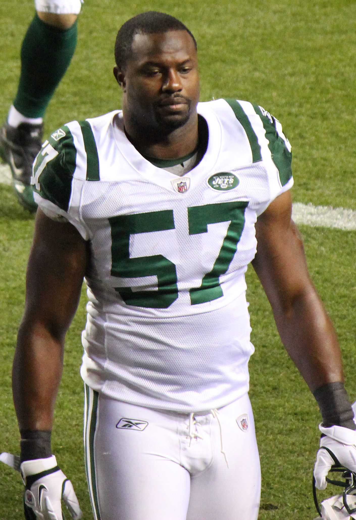 Bart Scott Net Worth