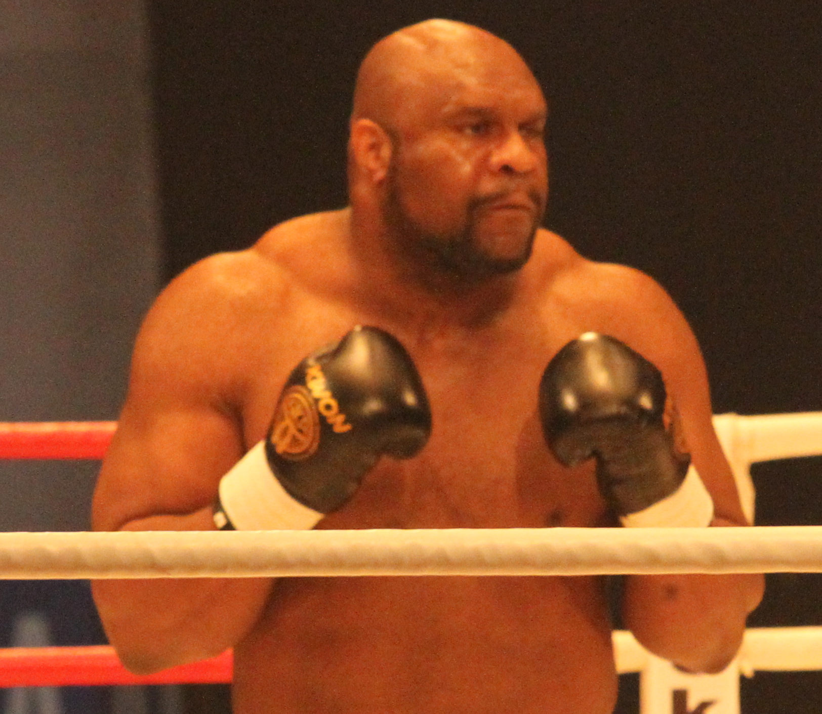 Bob Sapp Net Worth