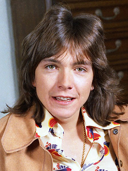 David Cassidy Net Worth