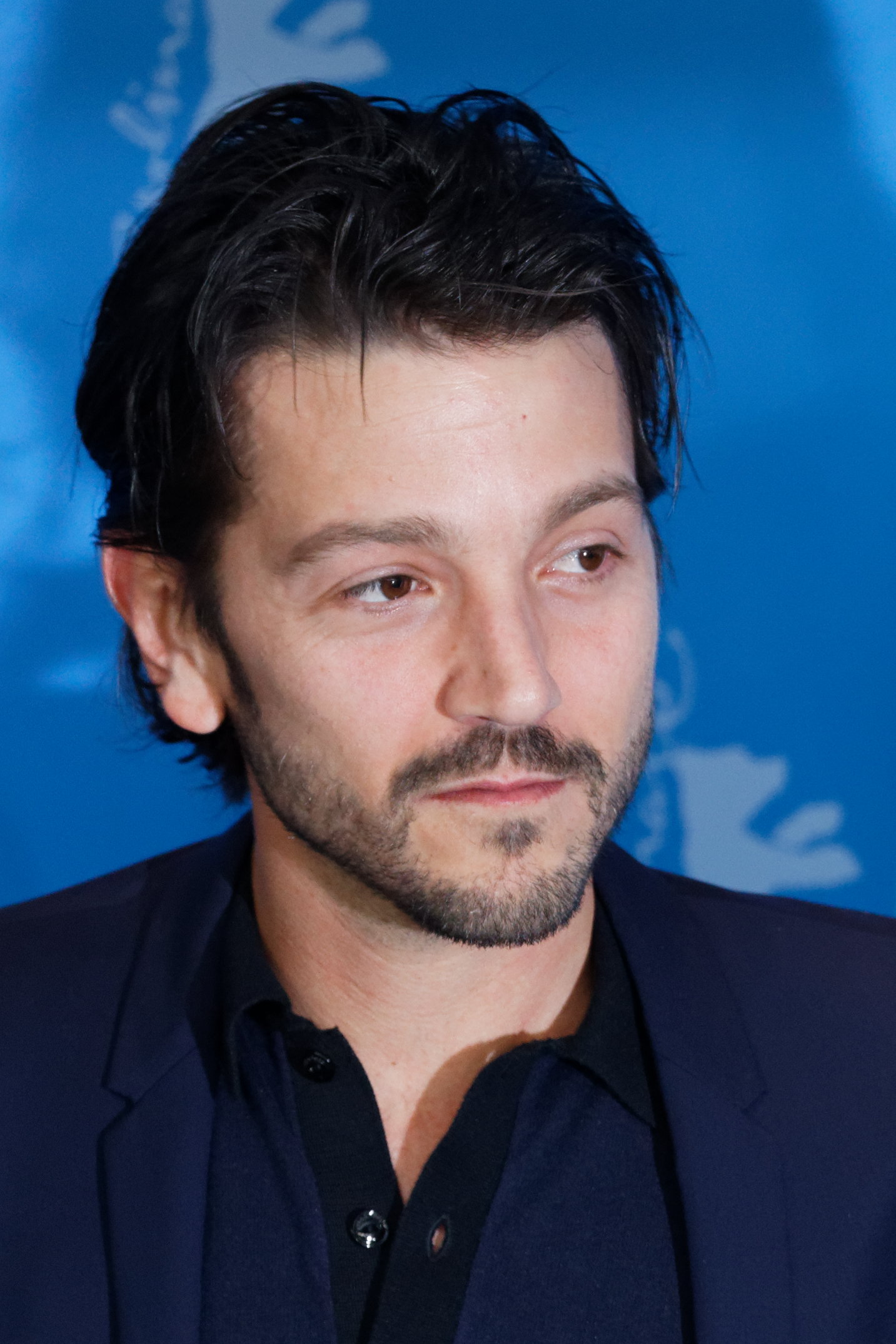 Diego Luna Net Worth