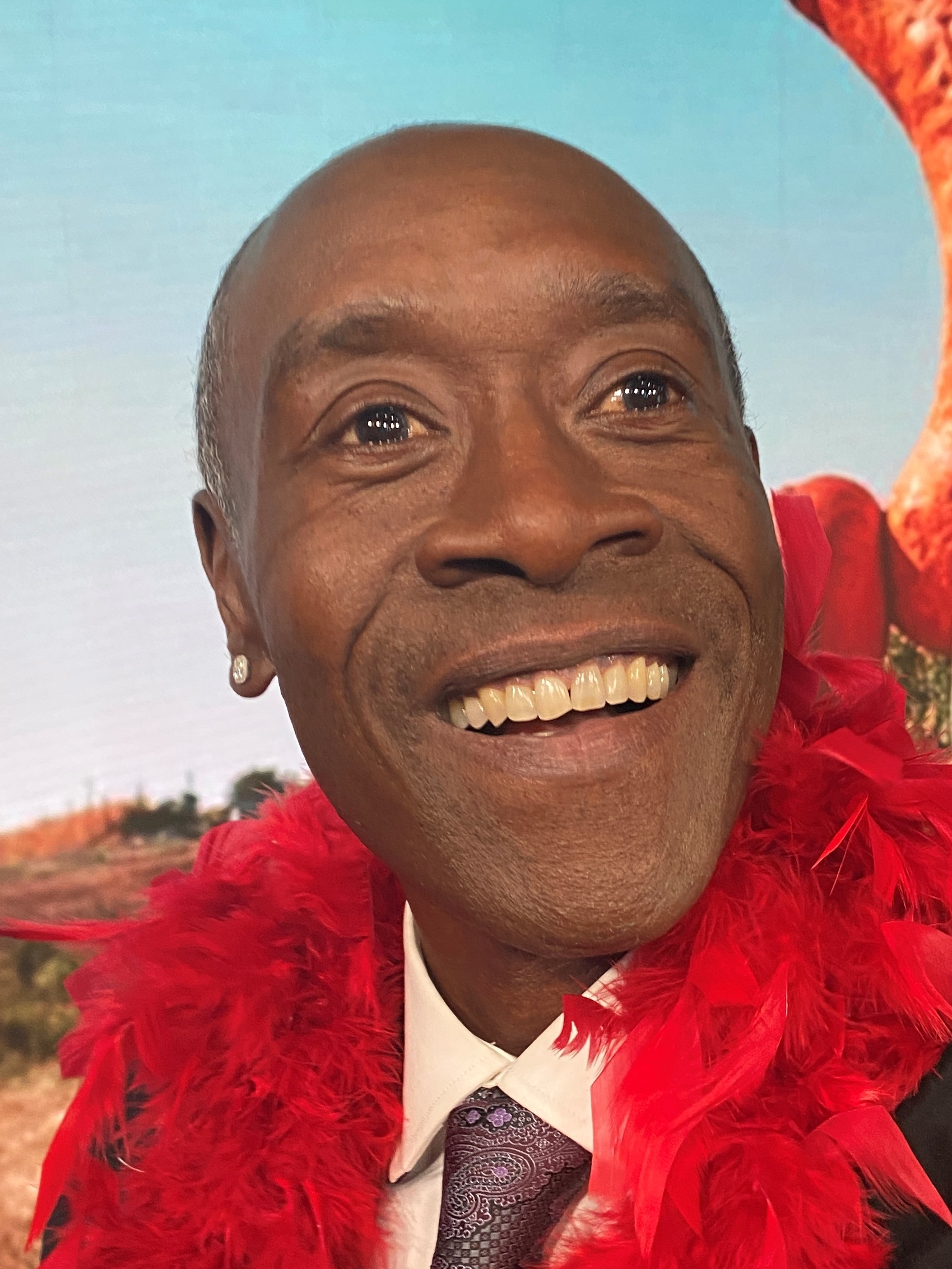 Don Cheadle Net Worth