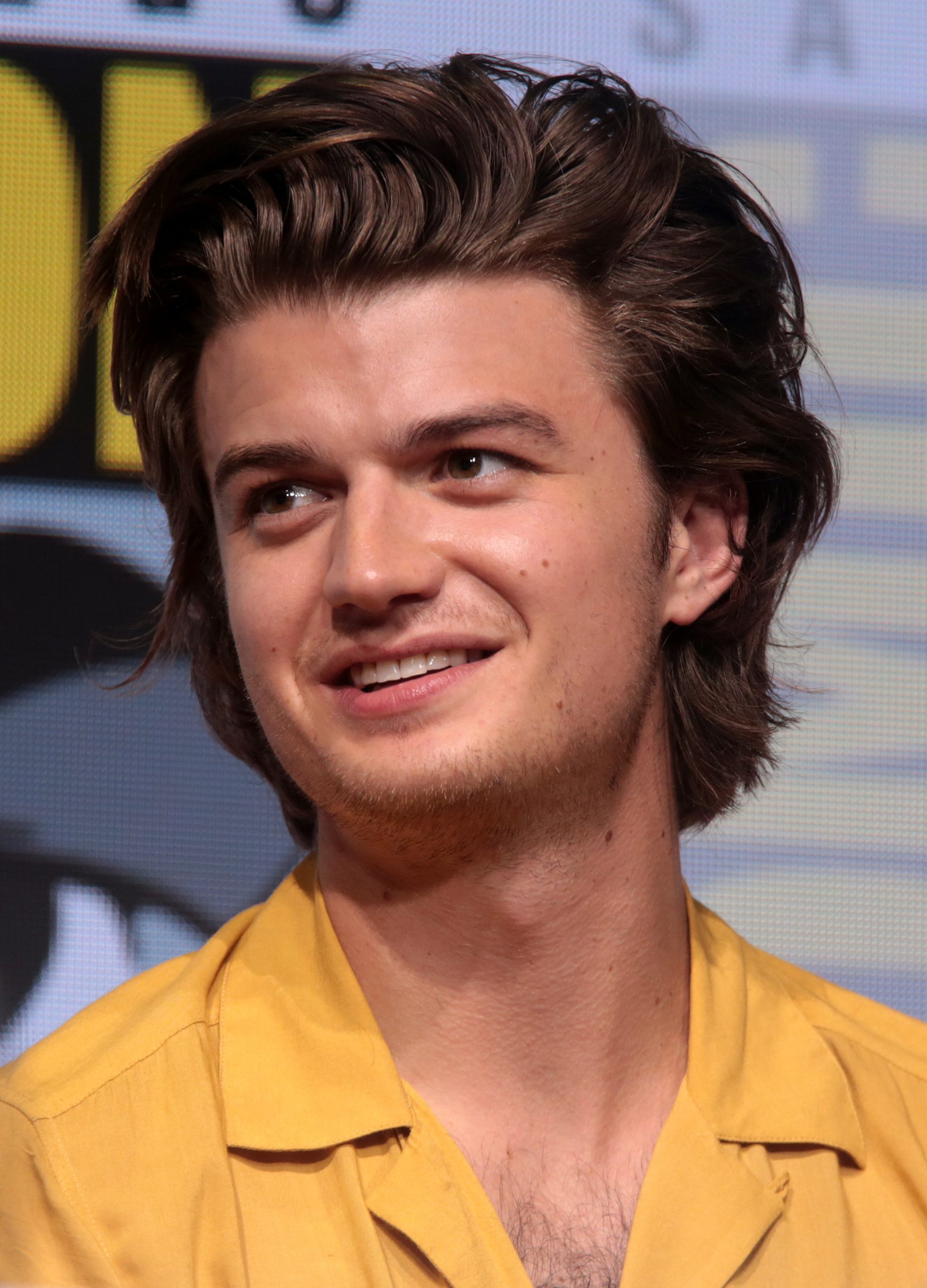 Joe Keery Net Worth